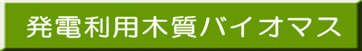 発電利用木質バイオマス